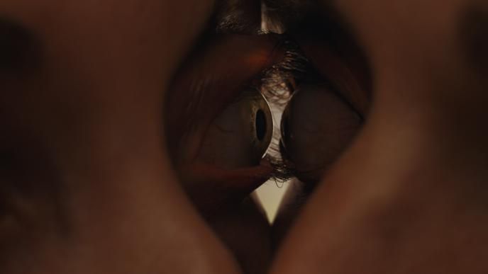 Macro close up shot of Millie and Tim's eyelids and eyelashes merging into one 