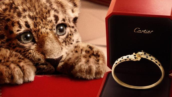 Cartier_Panther