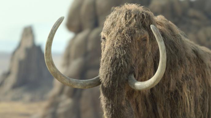  woolly_mammoths_prehistoric_planet