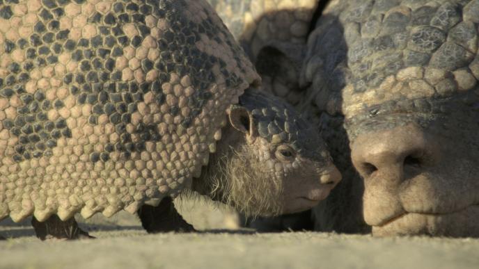 Glyptotherium_prehistoric_planet_ice_age