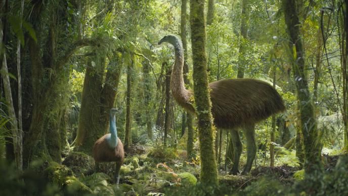 Elephant_Birds_Prehistoric_Planet