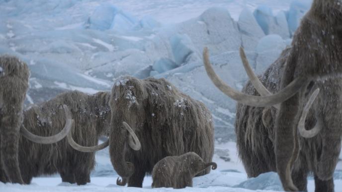 Prehistoric_Planet_Woolly_mammoths_in_snow