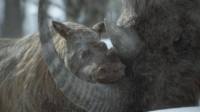 A photo-realistic CGI Woolly Rhino calf and mother in a VFX snowy environment. 
