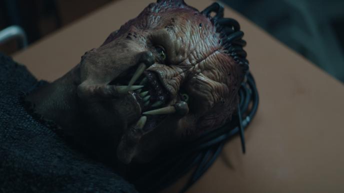 The Complex Face of Deck Final Image 1