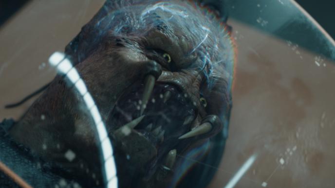 The Complex Face of Deck Final Image 4