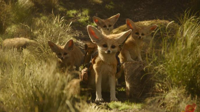 A CGI animated fox family in the Oz forest, in Wicked: For Good