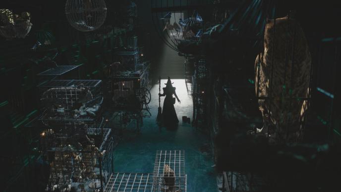 Postvis for the same sequence, planning the placement for CGI animals in cages