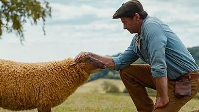 Hugh Jackman as Farmer George, kneels to pet CGI sheep Lily, who has rust coloured fur