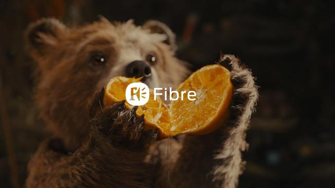 An image of Paddington bear opening an orange, overlaid with a white logo for Fibre
