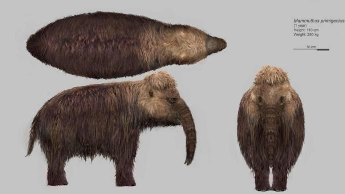 Prehistoric Planet: Ice Age Mammuth Concept Art