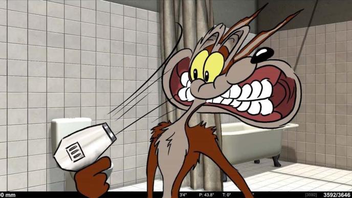 Coyote vs. Acme