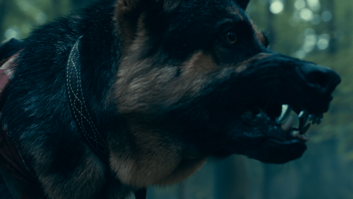 Final image of Odin