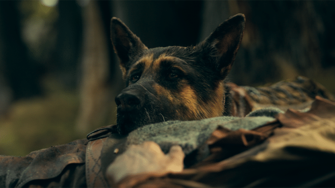 Final image of Odin
