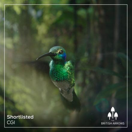 a hummingbird flying in a forest