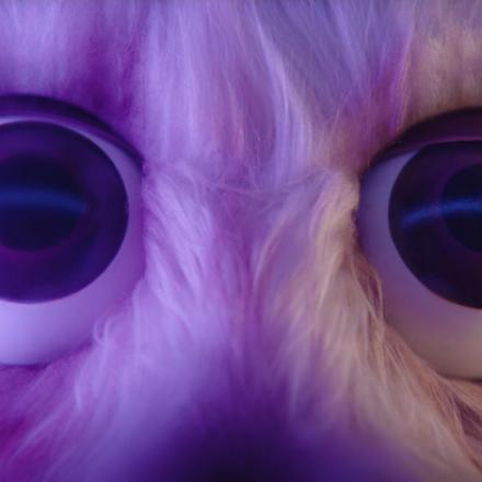 eye close up of a toy animal