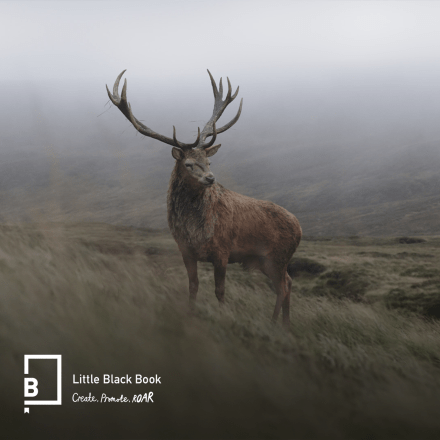 A still from the TV show The Crown showing a Stag on a hillside, the LBB logo is in the bottom left corner.