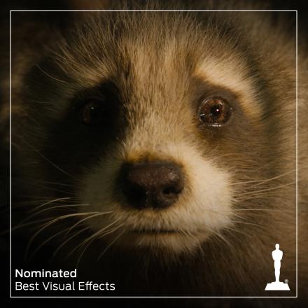 Alt: A baby raccoon taking up the whole frame with its face, there is a white border around the edge of the image and a white Academy Awards logo in the bottom right corner.
