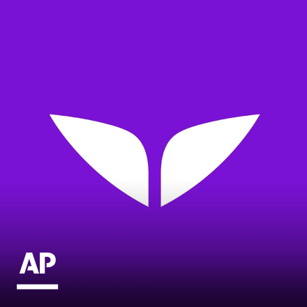Two triangular shapes mirroring each other on a purple background with the AP logo in the bottom left corner. 
