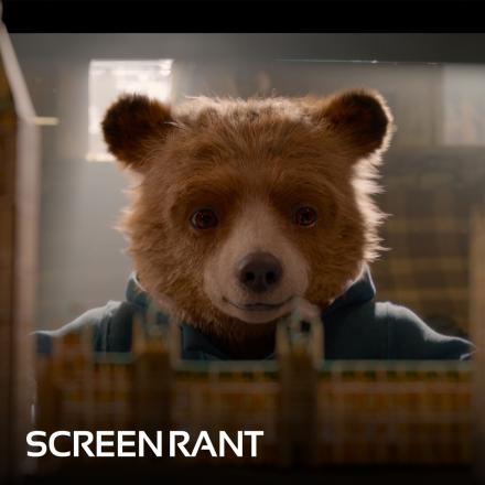 Paddington Bear looking into a pop up book.