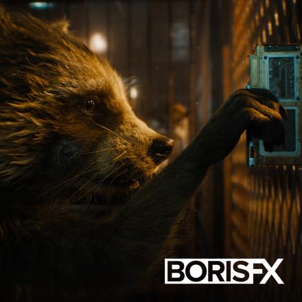 A raccoon is using a device to open the door to the cage he is in, there is the BorisFX logo in the bottom right.