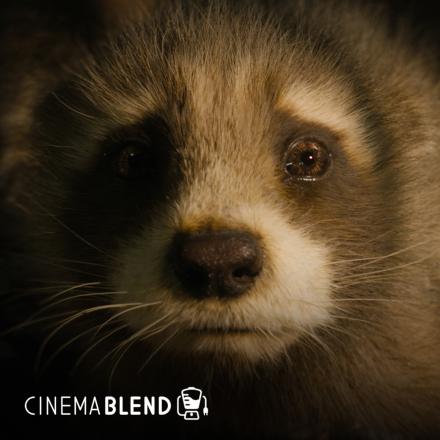 A baby raccoons face, with the CinemaBlend logo in the bottom left.