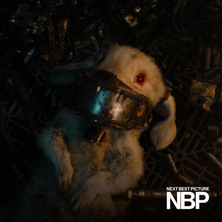 A rabbit with a metal jaw is laying on the floor, there is a white text logo in the bottom right corner. 