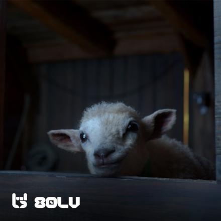 A little CGI lamb resting its head on a barn door, there is the 80 Level logo in the bottom left corner.