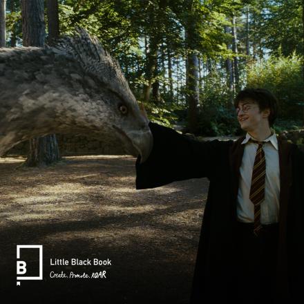 A boy is stroking the beak of a mythical creature with a birds head and horses body, they are in a warmly lit forest. There is the LBB logo in the bottom left corner.