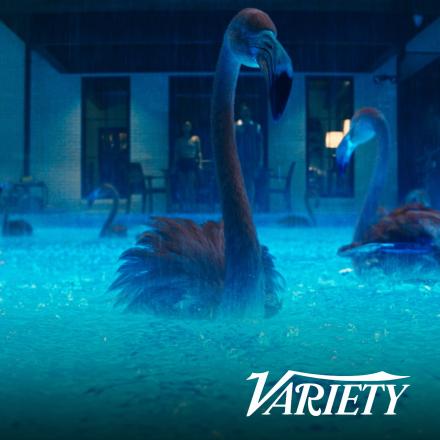 Some flamingoes in a swimming pool lit from below with a blue light, there are splashes from rain on the surface of the pool.