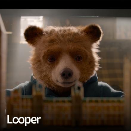 An image of Paddington Bear looking at a pop up book of the houses of parliament. 