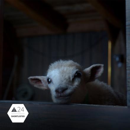 A small CGI lamb resting its head on a barn door. 