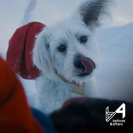 Superman's animated creature Krypto