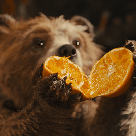 An image of Paddington Bear holding up a ripe orange which is cut open