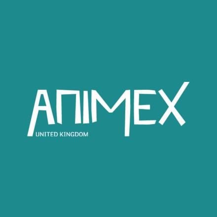 Animex 2026 International Festival of animation, VFX & games