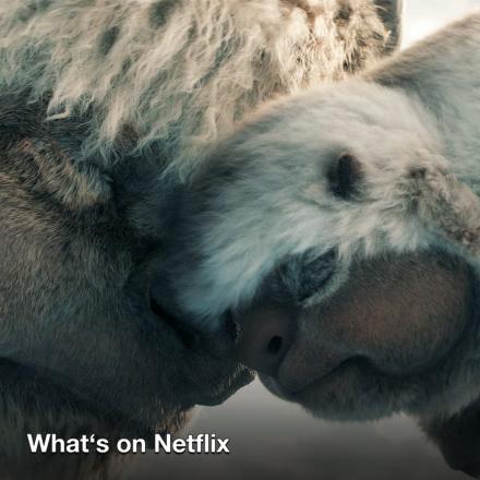 Close-up of a baby sky bison nuzzling an adult sky bison, highlighting their soft fur and affectionate interaction.