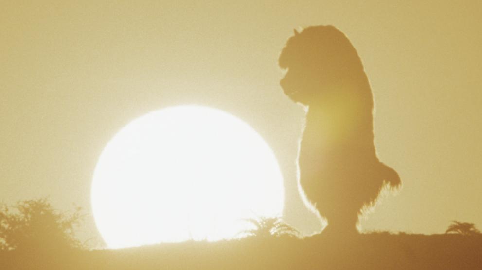 A CGI wild thing creature stood on a hill in front of a sunset.